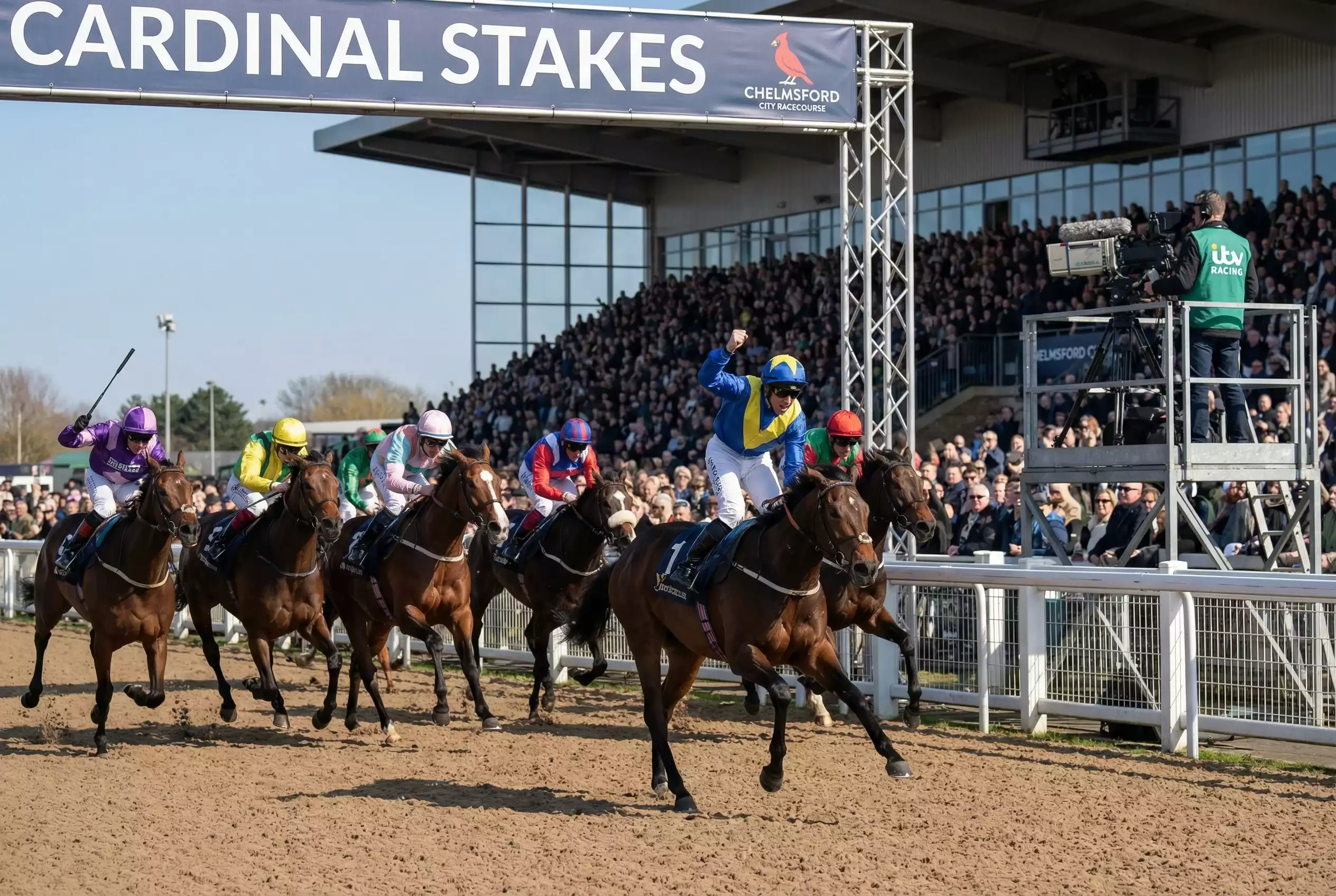 Runners in the Cardinal Stakes at Chelmsford City racing towards the finish with ITV Racing cameras visible